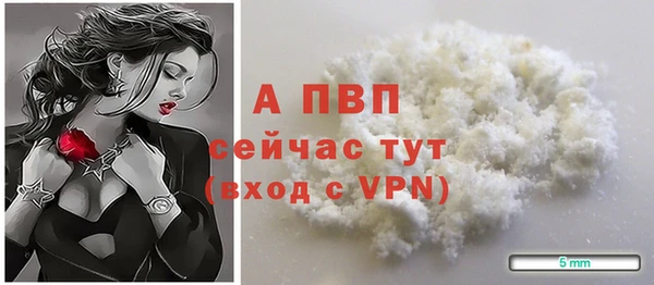 индика Беломорск