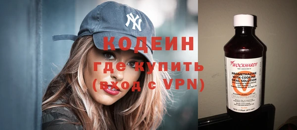 индика Беломорск
