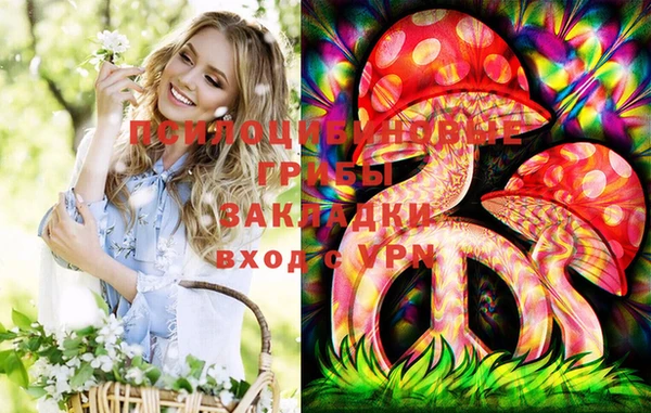 сатива Белоозёрский