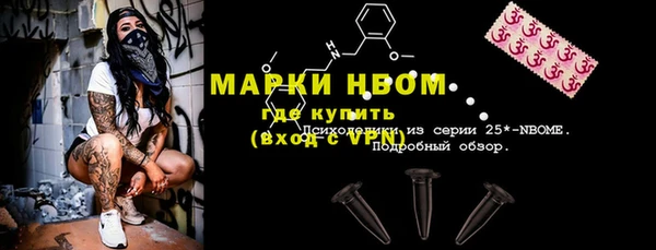 индика Беломорск