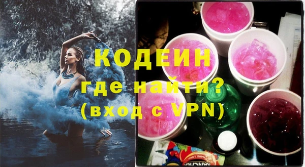 индика Беломорск