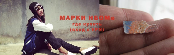индика Беломорск