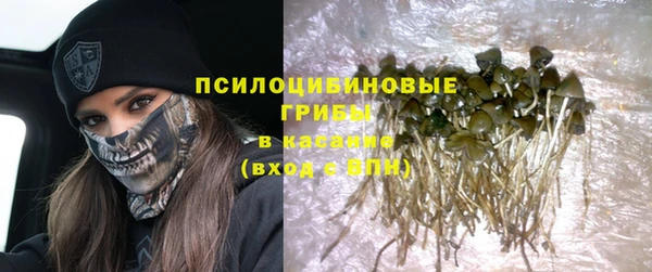 индика Беломорск