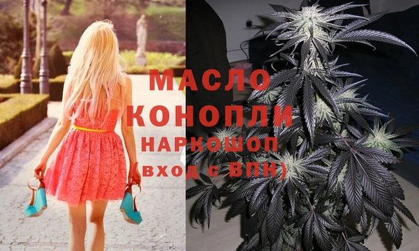 индика Беломорск