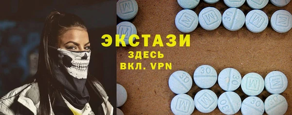 индика Беломорск