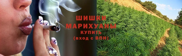 сатива Белоозёрский